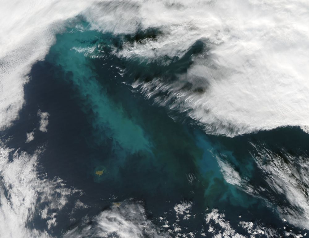 Phytoplankton Bloom in the Bering Sea